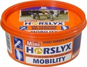 Horslyx Mobility mini vitamínový liz 650g