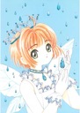 Plagát Anime Manga Cardcaptor Sakura ccs_120 A2