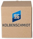 PIEST KOLBENSCHMIDT 40247620