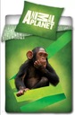 POSTEĽNOSŤ Animal Planet 160x200 MONKEY CHIMPANZEE