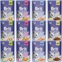 Brit Cat želé filé Mix príchutí 12x 85g