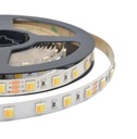 SMD2835 LED pásik 24V CCT variabilný 3000K-6500K 5m