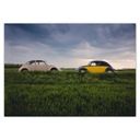 A3 LEVEL plagáty Volkswagen Beetles