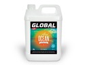 Global Acid Ocean Rinse S550 5L Kyslý oplach