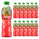 Tymbark jablkovo-melónový nápoj 500ml x 12 kusov