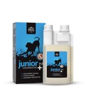 Pokusa ChondroLine Junior+ HA 500ml na kĺby