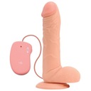 VIBRAČNÝ PHALLUS REAL RAPTURE GEL 10''