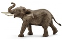 SCHLEICH Figúrka samca slona afrického 14762