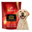 Holista Arthro Strong Chondro 600g Dysplázia