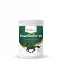 HorseLinePRO Boswellia Serrata 900g konská artritída