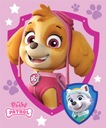 DEKA PAW PATROL 130x170 DEKA SKYE