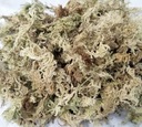 SPHAGNUM CL sphagnum mech 12 litrov MT-03Goldi