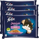 FELIX JUNIOR FANTASTICKÉ KURA S LOSOSOM 16x85g