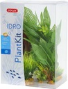 ZOLUX SET 6 RASTLÍN DO AKVÁRIOVÉHO PLANTKIT IDRO N2