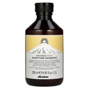 Davines Naturaltech Purifying šampón proti lupinám 250 ml