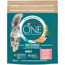 Purina ONE ADULT losos celozrnné 800g krmivo pre mačky