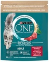 Purina ONE Cat Adult Suché krmivo s hovädzím mäsom 800g