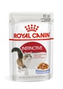 Royal Canin Instinctive 12x85g želé pre mačky