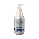 STAPIZ SLEEK LINE BLOND Šampón pre blond vlasy 1L