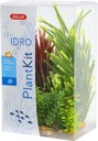 Zolux Dekorácia rastlín PLANTKIT IDRO model 4