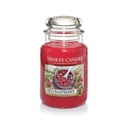 Yankee Candle RED RASPBERRY vonná sviečka 623 g