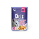 Brit Premium Cat Jelly Chicken 24 x 85 g (kuracie)