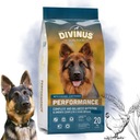 DIVINUS Performance suché krmivo pre psov labradorského ovčiaka, vitamíny 20 kg