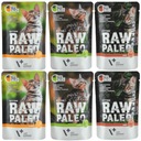 RAW PALEO VETEXPERT PRE MAČIATKA ZMES CHUTÍ 6x100g