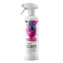 Clinex Scent Parisian charm - Osviežovač - 500 ml