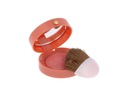 BOURJOIS Paris Little Round Pot r 16 Rose Coup De Foudre 2,5g (W) P2