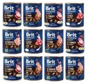 Brit Premium by Nature MIX CHUTÍ 12x800g