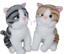 CAT MASKOT 2 FARBY HLAS 25CM CAT SUN-DAY K-1216