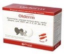 BIOWET Olderm 60 kapsúl Twist-Off Skin and Coat