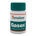 HIMALAYA GASEX 100 t PALENIE ZÁHY NA FUNGOVANIE