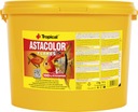 TROPICAL ASTACOLOR 11l/2kg