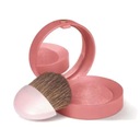 BOURJOIS Blusher 74 Rose Ambre