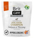 Brit Care Dog dospelý losos a sleď 1 kg