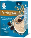 Gerber Pełnia zżów Ovsená pšeničná kaša 6m+ 200g