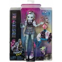 Bábika Mattel Monster High Frankie Stein 29 cm