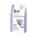 Brit Grain Free VET Diets Cat Gastrointestinal 2kg