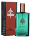 Coty Aspen For Men Kolínska voda 118ml