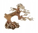 PROGROW BONSAI STROM BT9S 20X8X15CM OZDOBA STROMU