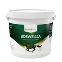 HorseLinePRO Boswellia Serrata 2000g protizápalové