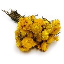 PREMIUM Helichrysum (Helichrysum), sušené