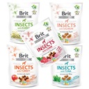 Pochúťka pre psov BRIT CARE INSECTS Insects Mix x5