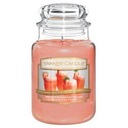 Yankee Candle White Strawberry Bellini Candle 623g