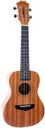 Mahagónové koncertné ukulele Arrow MH10
