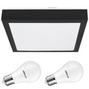 Prisadené stropné svietidlo + 2x LED E27 10W