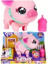 Little Live Pets Cobi Pig 26336 Interactive