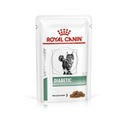 Royal Canin Cat Diabetic Veterinary Health 12x85g